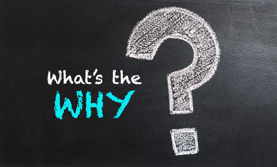 04-whats-the-why